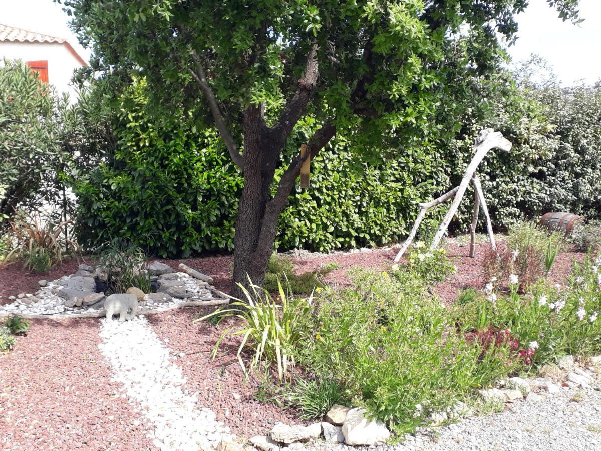 Domaine De La Clotte Bed & Breakfast Roquefort-des-Corbières Eksteriør bilde